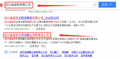 四川省宜賓市思坡醋業(yè)有限責(zé)任公司與我司做網(wǎng)站設(shè)計(jì)項(xiàng)目