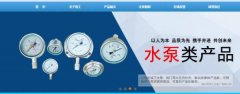 泰興市*工儀表廠有限公司藍(lán)色系網(wǎng)站建設(shè)給你設(shè)計(jì)靈感