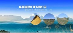 慶陽鑫*礦業(yè)有限公司網(wǎng)站建設平面設計案例作品