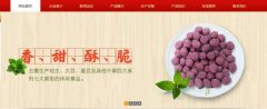 紅太*食品(榮成)有限公司制作網(wǎng)站新一代自助建站、智能建站系統(tǒng)